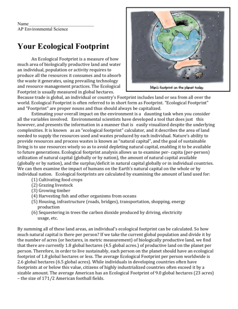 ecological footprint research paper