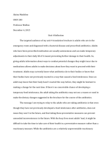 unit 4 reflection essay