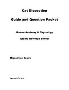 Cat” dissection guide