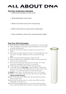 Part Two: DNA Extraction