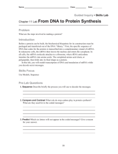 Protein SynthesisBook Lab
