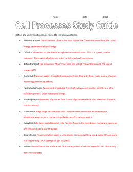 Cell cycle study guide answer key