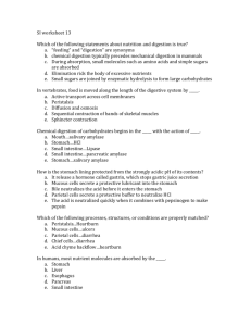 SI worksheet 13 Which of the following statements about nutrition