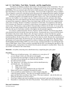 Owl Pellets, Food Webs, and Biomass Pyramids