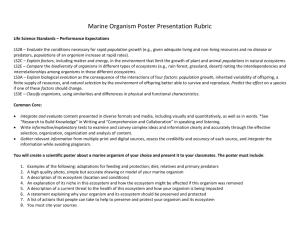 Marine Organism Poster Presentation Rubric