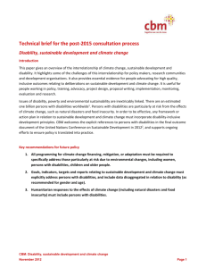 Technical brief for the post-2015 consultation process Disability