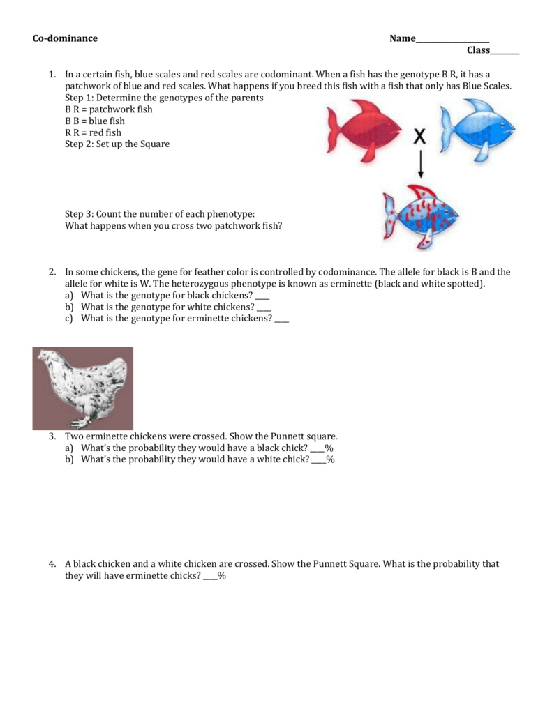 Co dominance Practice Problems