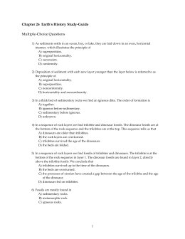 human brain essay law teacher