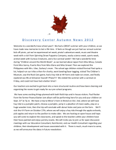 Autumn Newsletter 2012