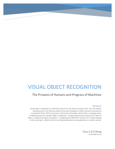 Visual Object Recognition