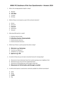 Senior Veterinary Questionnaire