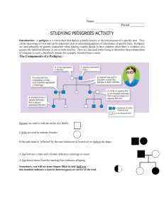 Pedigree Chart Homework Digital Copy to print