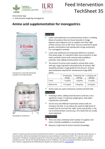 Techsheet35 - Amino acid supplementation