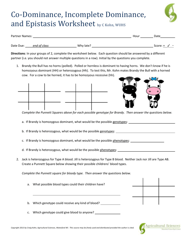 Worksheet