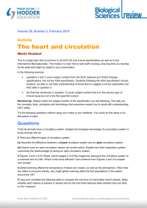 Activity: The heart and circulation