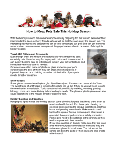 How To Keep Your Pets Safe This Holiday Season