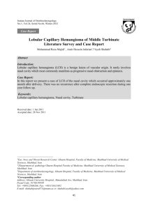 Lobular Capillary Hemangioma of Middle Turbinate Literature