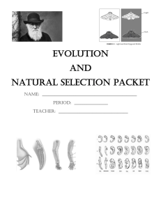 evolution and natural selection packet