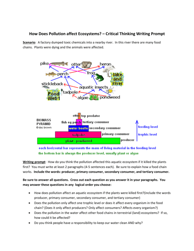 how-does-pollution-affect-ecosystems-critical-thinking-writing