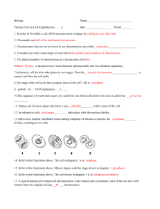 Biology Name Practice Test on Cell Reproduction a Date Period