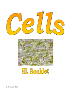 SL_Cells_Booklet_2010[1]