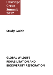 Global Wildlife REHabilitation and Biodiversity Restoration