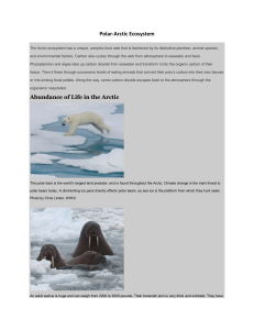 Polar-Arctic Ecosystem