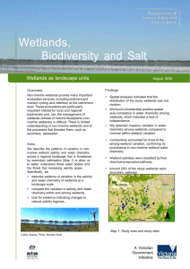 Microsoft Word - wetlands as landscape units net.doc