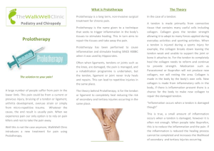 What is Prolotherapy