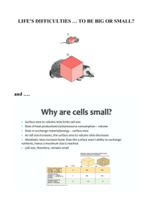 Why are cells small? Worksheet - British School Quito Blogs Sites