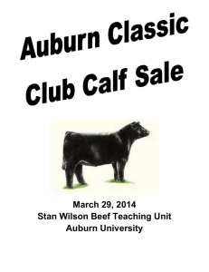 San Oaks Farm Bowman Shorthorns