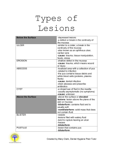 Types of Lesions - University of New Haven