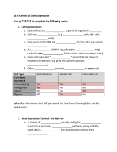 Gene Expression Control - Westgate Mennonite Collegiate