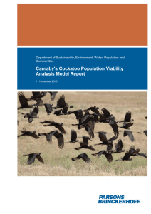 Carnaby`s Cockatoo Population Viability Analysis Model Report