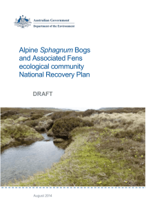 Draft Alpine Sphagnum Bogs and Associated Fens Recovery Plan