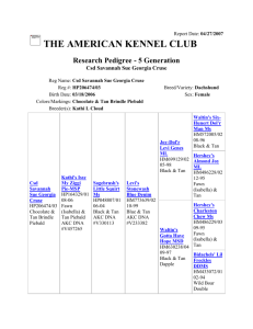 AKC: Research Pedigree - 5 Generation