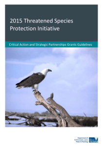 Critical Action and Strategic Partnerships grant guidelines