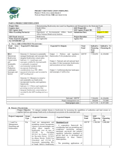 Indicative Financing from GEF