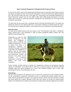 CPR Gobi Grasslands Policy