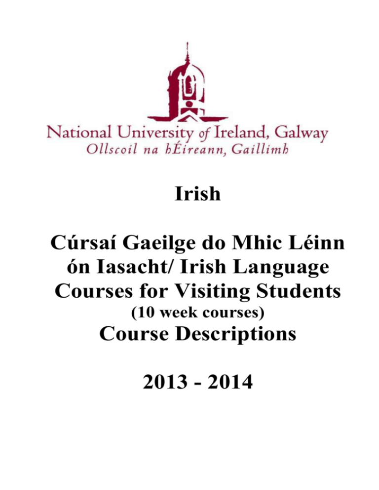 Irish Language Courses for Visiting Students