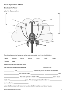 Worksheets sexual Reproduction in Plants -