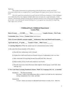 Artifact 2b.1 - Mold Fossil Formation Lesson Plan