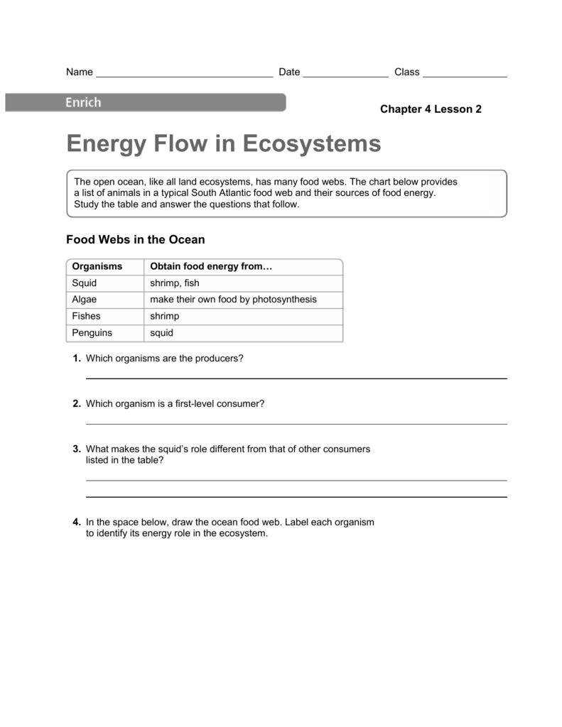 Energy Flow Chart In An Ecosystem