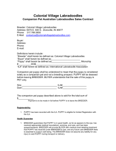 Puppy Contract (click to download)