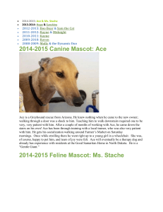 2014-2015 Canine Mascot - Snake River Animal Shelter