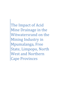 The Impact of Acid Mine Drainage in the Witwatersrand on the