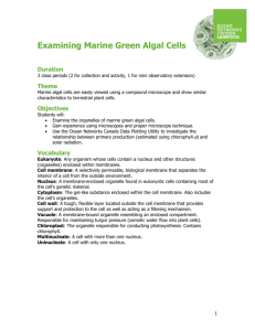 Lesson_Plan_Examining_Marine_Green_Algal_Cells