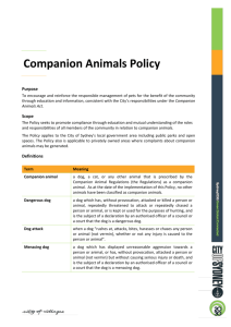 Companion animals policy