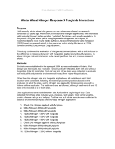 Winter Wheat Response to Nitrogen