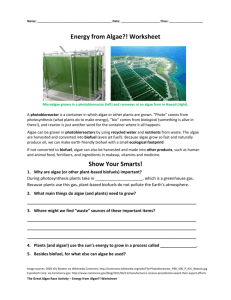 Energy from Algae?! Worksheet